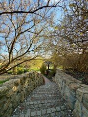 beautiful view of nature. stairs in the garden