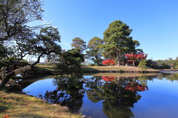 Obraz premium 日本庭園の池と紅葉