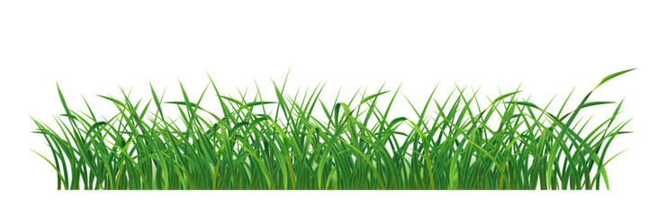 green grass line vector isolated