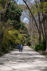 Obraz premium A Taste of Kyoto - Shimogamo Shrine