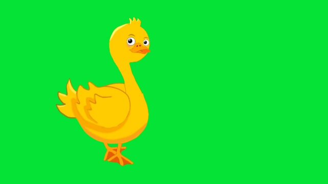 Discover the Art of duck cartoon Motion Video Creation