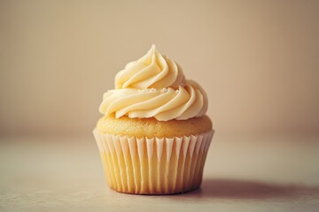 A single cupcake with delicious frosting on top