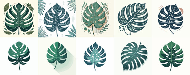 Fototapeta premium Minimal flat design of monstera plant leaves