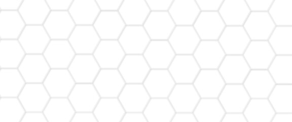 Abstract white hexagonal geometric background with shadow. Luxury White 3D futuristic honeycomb mosaic white background. Abstract white lines background. Vector 