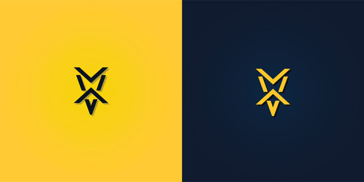 Minimalist Abstract Initial letter VX logo.