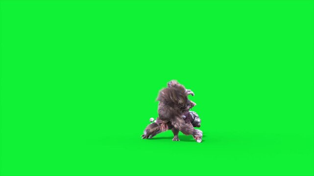 Green Screen Humanoid Rat Monster Attack Loop Fur 3D Animation Rendering CGI 4K