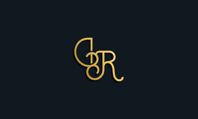 Luxury fashion initial letter DR logo.