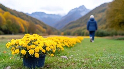Yellow chrysanthemums line a grassy path, leading to a mountain vista. A person walks in the distance