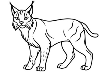 Minimalist Lynx Vector Design with Clean Line Art on White Background