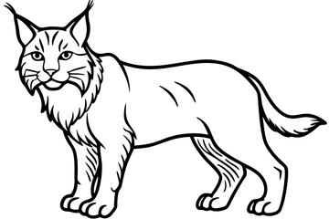 Minimalist Lynx Vector Design with Clean Line Art on White Background