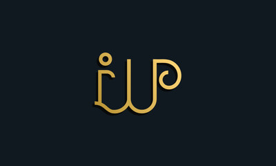 Luxury fashion initial letter IW logo.