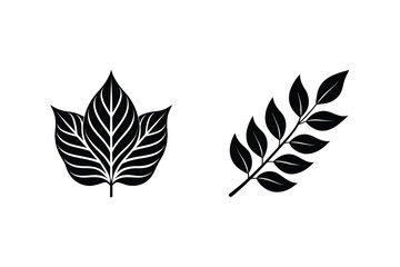 Elegant Black Vector Leaves Illustration Depicting Nature And Organic Design Elements