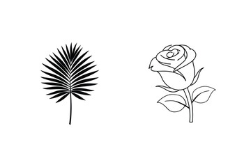 Vector Line Art Of Palm Leaf And Rose Floral Botanical Elements