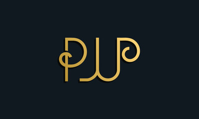 Luxury fashion initial letter PW logo.