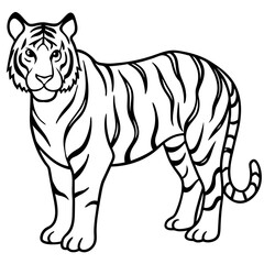 Minimalist Tiger Vector Design with Line Art on White Background