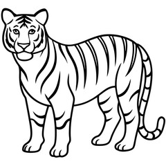 Minimalist Tiger Vector Design with Line Art on White Background