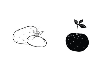 Hand Drawn Vegetables With Sprout And Potato Illustration Isolated On White