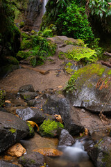 Waterfall Salto do Rosal Furnas on the Isle of São Miguel, Azores, Portugal. Long exposure. Waterfall with  tropical green vegetation and forests. Travel destination. Hiking on Azores Islands.