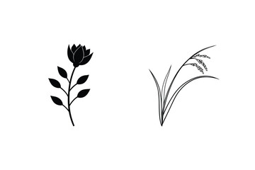 Elegant Vector Illustration With Flower And Rice Plant On White Background