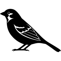 Fototapeta premium vector silhouette of a sparrow, minimal design, clean lines, 