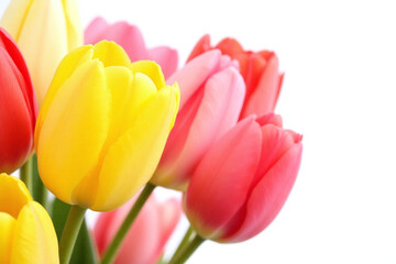 Naklejka premium bunch of tulips on a white background