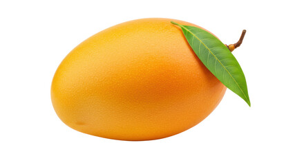 Isolated Mango