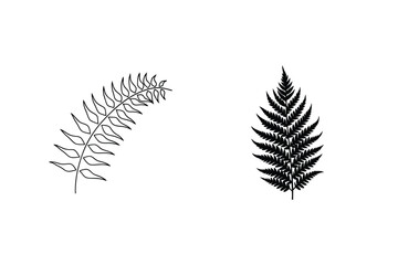 Two Fern Fronds Isolated Vector Illustration Botanical Minimalist Design Elements