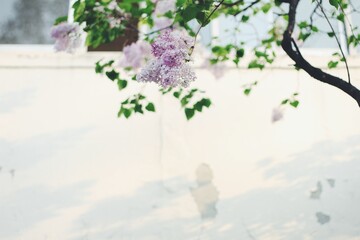 눈부시고 아름다운 자연의 힘