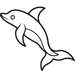 dolphin isolated on white background