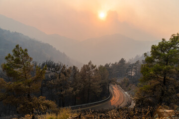 Sun shining through a cloud of smoke on Icmeler-Hisaronu road, following forest fires of July-August 2021 in Marmaris resort town of Turkey