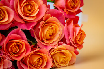 Bouquet of pink roses on a peach-colored background, in pastel colors