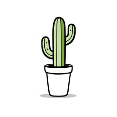 cactus in a pot