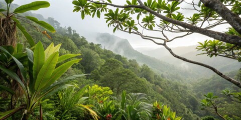 Lush rainforest mist shrouds vibrant plants, a wildlife habitat captured in documentary photography.