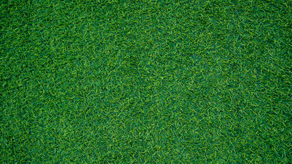 Green grass background, top view background of garden bright grass concept