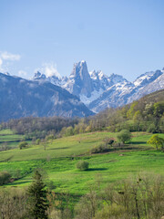 Stunning mountain landscape with green lush meadows in the foreground and stunning mountain rugged peaks in the background on a sunny day in Asturias, Spain