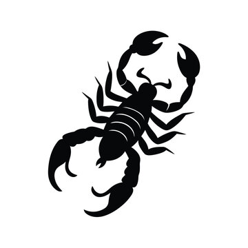black scorpion silhouette on white background clip art preview