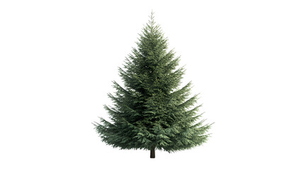 Obraz premium Isolated Pine Tree Silhouette on Transparent Background for Creative Design Projects