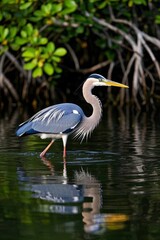 arafed heron wading in the water with a fish in its beak
