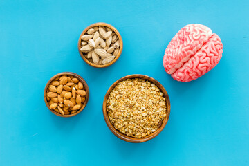 Human brain model with nuts and grain, top view. Healthy food for the brain