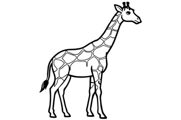 Giraffe vector line art black design and white background
