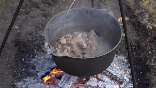 Stew meat in a cauldron over a fire. Boiling and frying. Camp fire outdoor food. Firewood