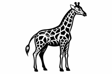 Giraffe vector line art black design and white background