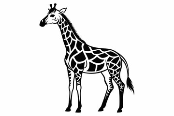 Naklejka premium Giraffe vector line art black design and white background