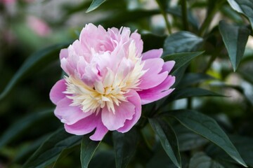 신비로운 자연이 주는 힘