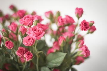 신비로운 자연이 주는 힘