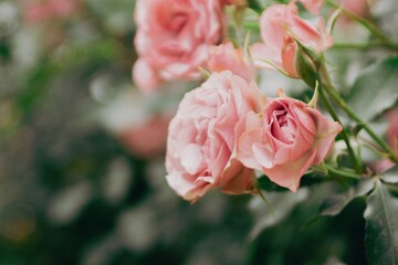 신비로운 자연이 주는 힘