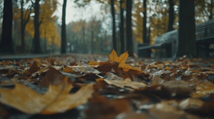 Serene autumn park scene with fallen maple leaves and a bench in the background creating a tranquil mood