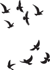 Flying Birds Silhouette Set &ndash; Flock of Birds in Flight Vector Illustration