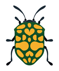 Colorful Beetle with Unique Pattern Vector Illustration. Vector illustration of a vibrant beetle with an intricate green and yellow pattern. 