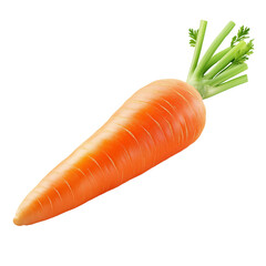 Fresh carrot with green leaves on light green background